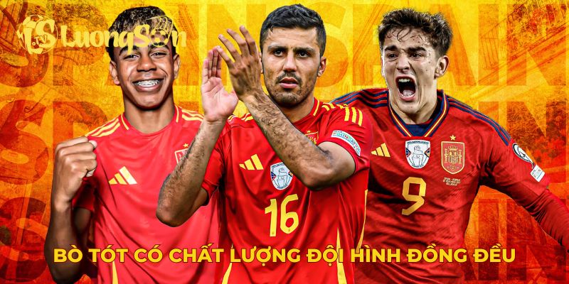 Bò tót có chất lượng đội hình đồng đều