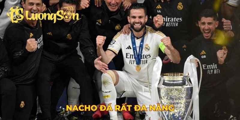 Nacho đá rất đa năng