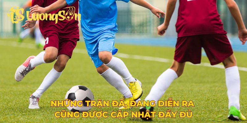 Những trận đã, đang diễn ra cũng được cập nhật đầy đủ
